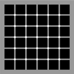 McAnany-Levine Extinction illusion