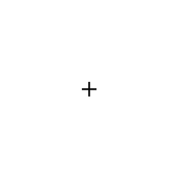 fixation cross