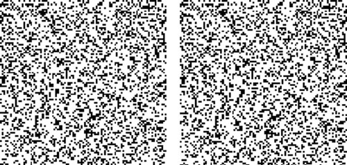 random dot stereogram